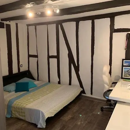 Triplex De Charme Centre Limoges
